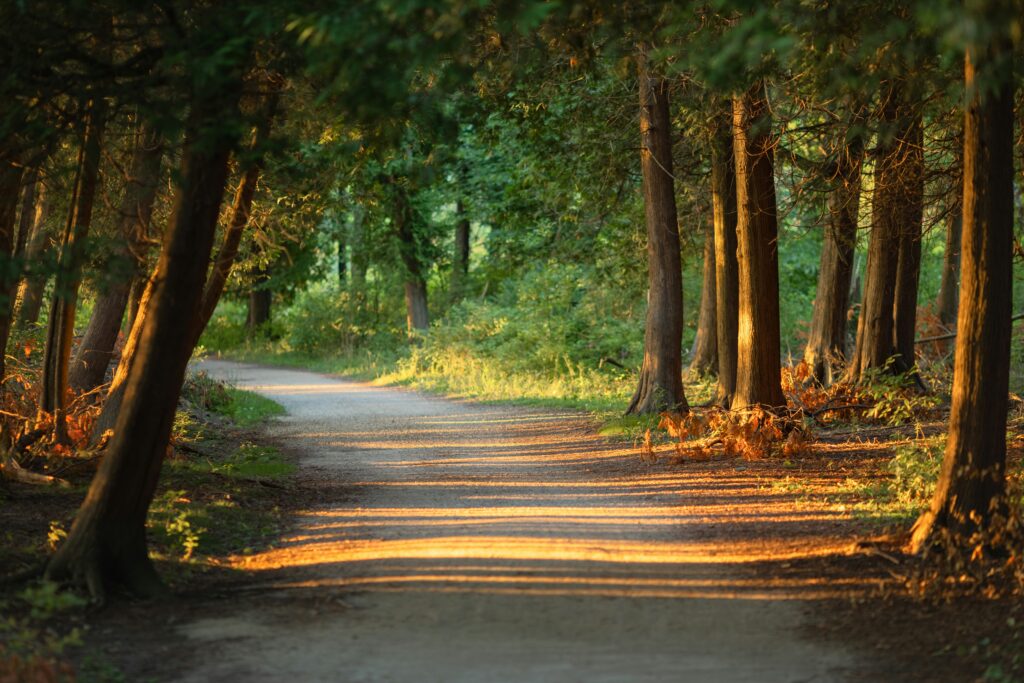 Karen: A Legacy of Landscape, Planning and Enduring Value